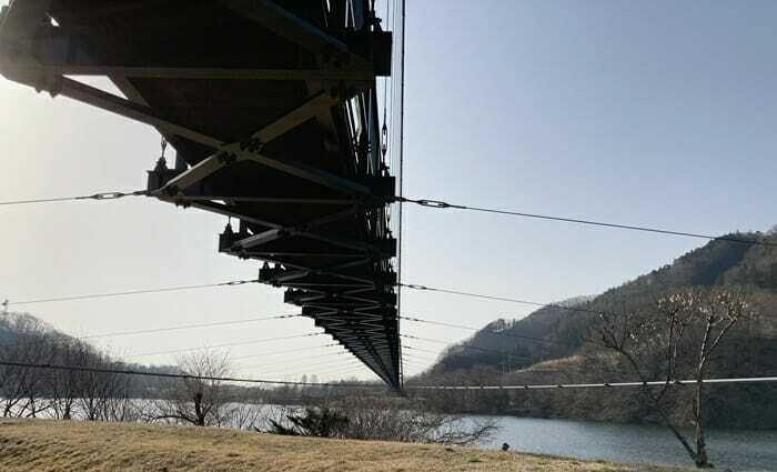 もみじ谷大吊橋下からの写真